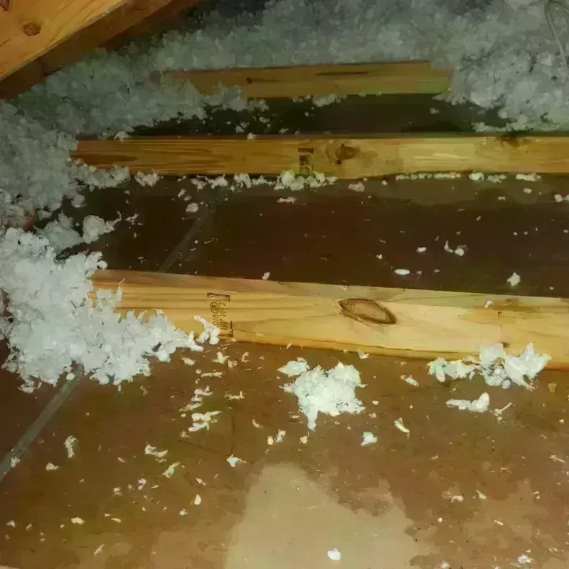 Attic Water Damage in Beechwood, MS