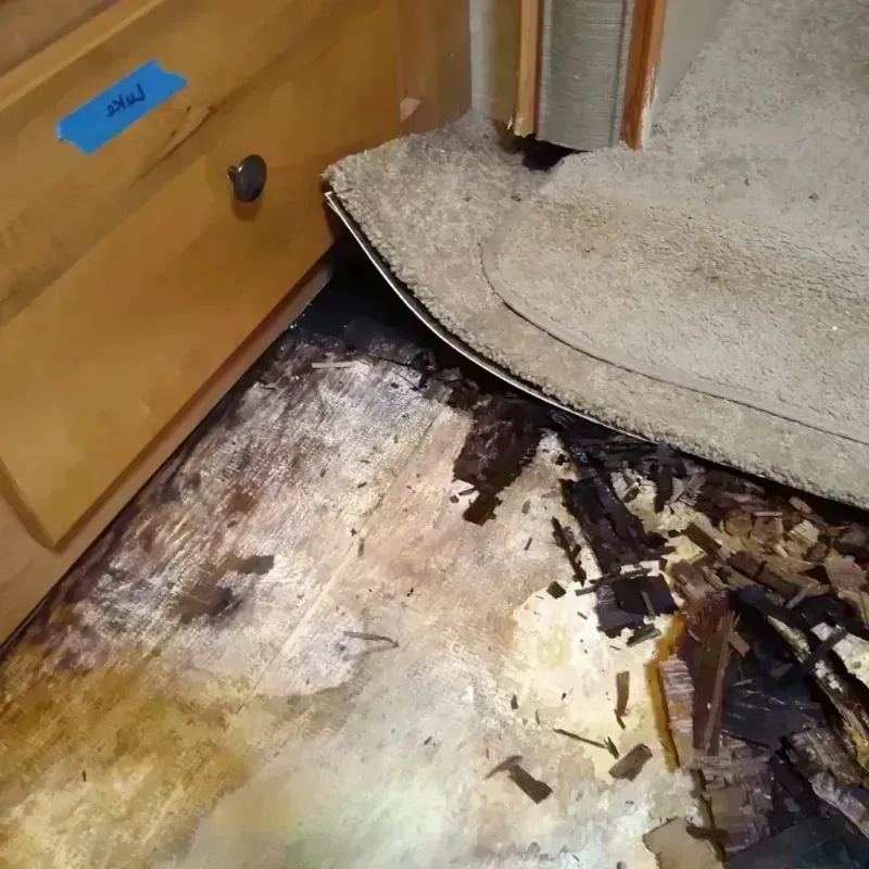 Wood Floor Water Damage in Beechwood, MS